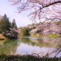 190405_21M_名所の桜・S18200(三つ池) (32)