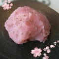 Photos: 桜おはぎ