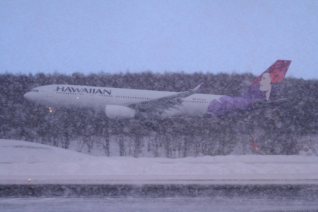A330 Hawaiian441便 雪の中approach