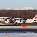 Photos: A350-900 JAL JA04XJ landing