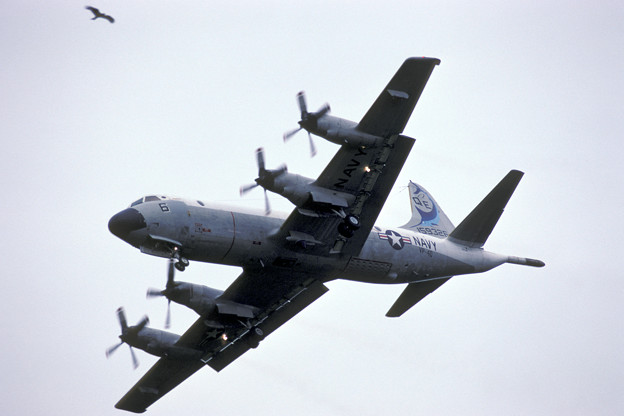 P-3C VP-40 QE-6 159326 MSJ 1983