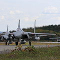Photos: F-15J 203sq Taxiing (2)