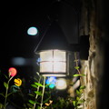 Photos: 常夜燈