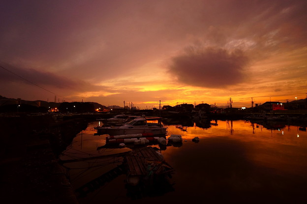 Photos: 漁港の夕暮れ