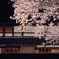Photos: 夜桜ライトアップ（満開）2