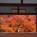 安國禅寺の紅葉（１）