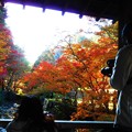 佛通寺川の秋＠巨蟒橋の紅葉