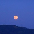 Photos: 年の瀬のｵﾚﾝｼﾞ色の満月＠瑠璃山＠今年最後の満月