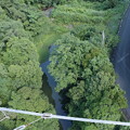 浜北森林公園吊橋（空の散歩道）中央付近から下を望む