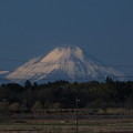 富士山_風景 F4293