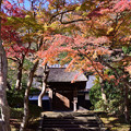 Photos: 円覚寺・居士院