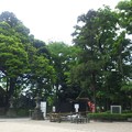 沼袋氷川神社（中野区）