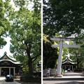 13.06.09.王子神社（東京都北区）