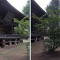 Photos: 新海三社神社（佐久市）神楽殿