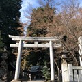 Photos: 八坂神社（東村山市）石鳥居