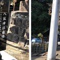 Photos: 八坂神社（東村山市）