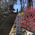 Photos: 高尾天神社／初沢城（八王子市）