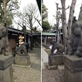 Photos: 14.02.23.牛嶋神社（墨田区向島）