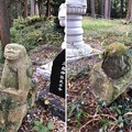 戸倉三島神社（あきる野市）狛犬
