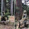 戸倉三島神社（あきる野市）狛犬