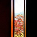 信州 大町 ホテルの窓