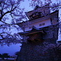Photos: 金沢城　菱櫓と桜　観桜期ライトアップ
