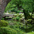 Photos: 兼六園　瓢池　赤松