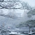 兼六園　雪景色(2)