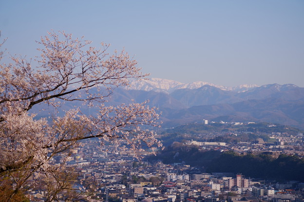 Photos: 卯辰山見晴台から　桜と山並み