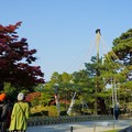 Photos: 松の木の雪吊り(1)