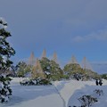 Photos: 雪の霞が池と唐崎松