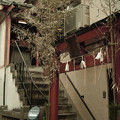 Photos: 今村幸稲荷神社-0106
