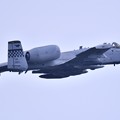 Photos: 9月の撮って出し。。三沢基地航空祭翌日 オーサンへ帰投 A-10サンダーボルト (4)