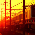 Photos: 夕日を追う列車
