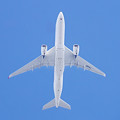 Photos: JA01XJ  JAL   A350-900