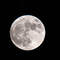 Photos: 満月の夜