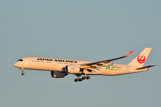 Photos: JAL AIRBUS A350