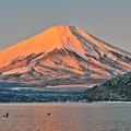 氷点下３℃の風景　～紅富士～