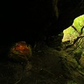 Photos: 495 御岩山の赤い石