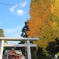 645 助川鹿嶋神社