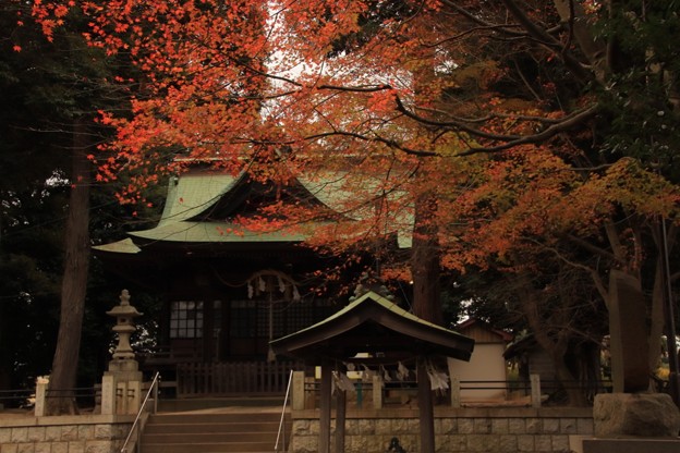 Photos: 745 油縄子の八幡神社