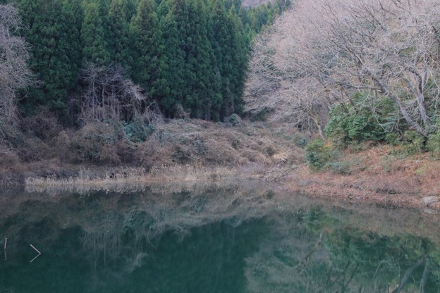 Photos: 775 日立諏訪ダム