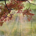 秋色映す池に